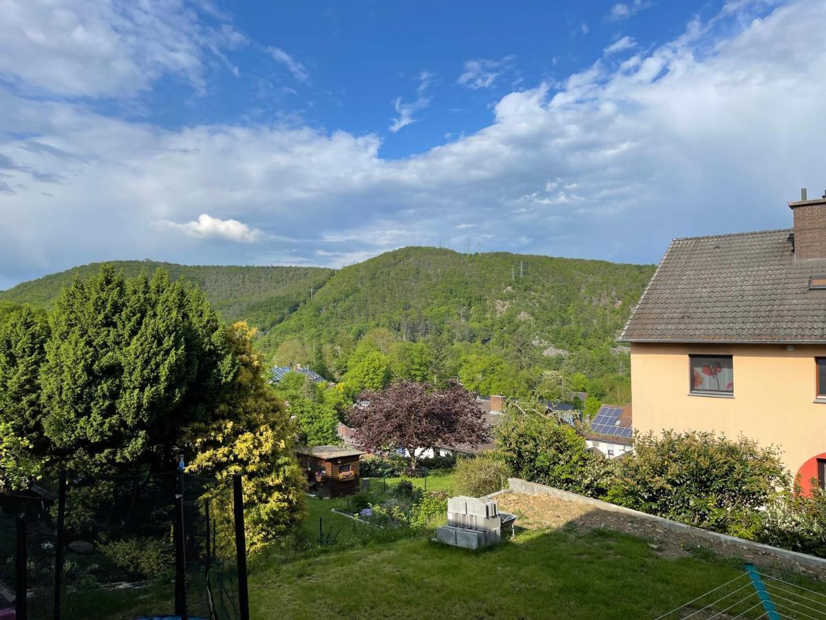 Zum Wildpark Apartment